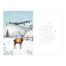 Prelude C75 Christmas Open 6pk