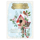 Prelude C90 Christmas Mam 6pk