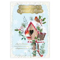 Prelude C90 Christmas Mam 6pk