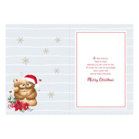 Prelude C90 Christmas Wife 6pk