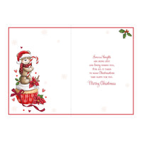 Prelude C90 Christmas Mam 6pk