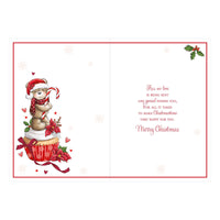 Prelude C90 Christmas Wife 6pk