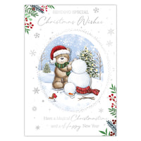 Prelude C90 Christmas Open 6pk