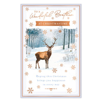 Prelude C375 Christmas Brother 6pk