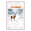 Prelude C375 Christmas Fiancé 6pk