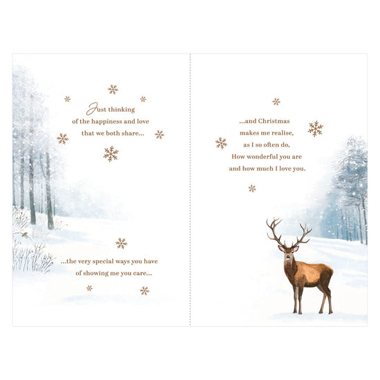 Prelude C375 Christmas Fiancé 6pk
