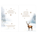 Prelude C375 Christmas Husband 6pk