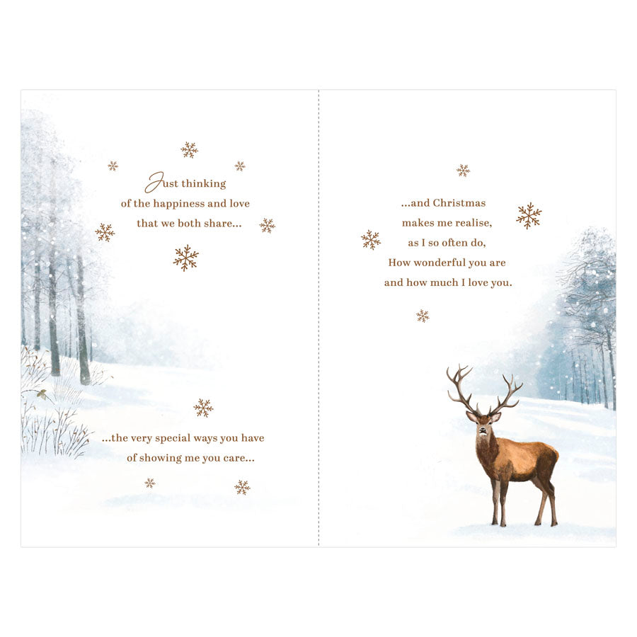 Prelude C375 Christmas Husband 6pk