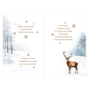 Prelude C375 Christmas Son 6pk