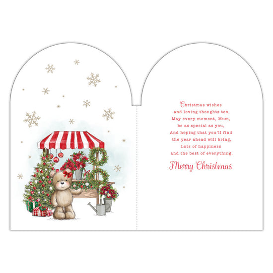 Prelude C75 Christmas Mum 6pk