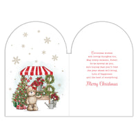 Prelude C75 Christmas Sister 6pk