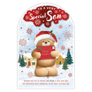 Prelude C75 Christmas Son 6pk