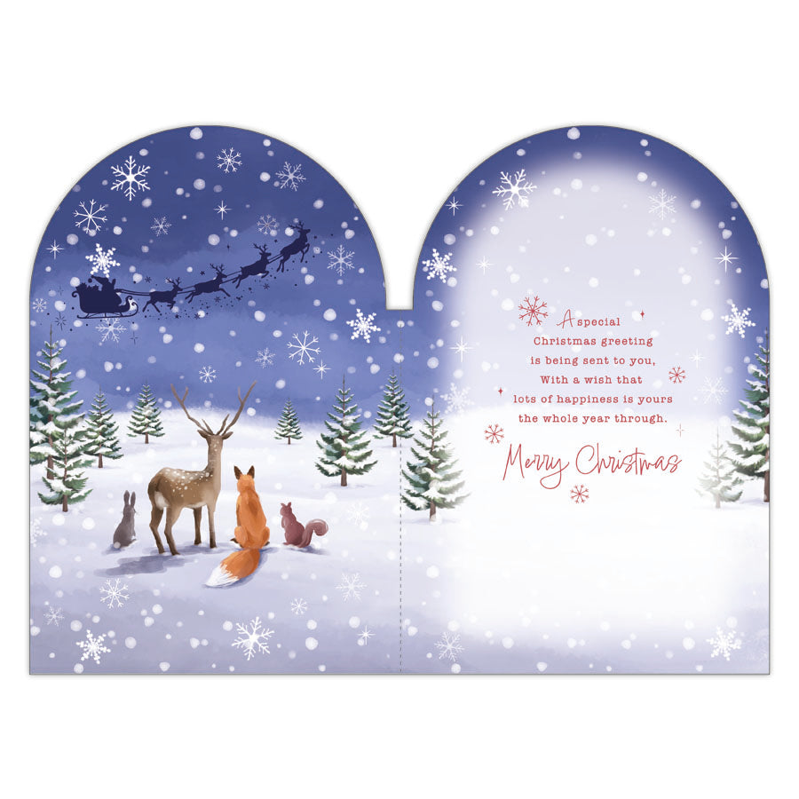 Prelude C75 Christmas Friends 6pk