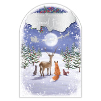 Prelude C75 Christmas Friends 6pk