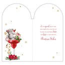 Prelude Platinum C55 Christmas Sister 6pk