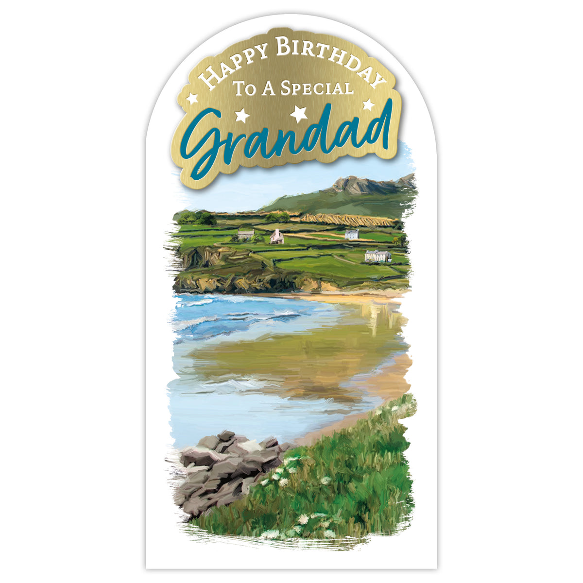 Prelude Platinum C55 Birthday Grandad 6pk