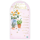Prelude Platinum C55 Birthday Friend 6pk