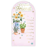 Prelude Platinum C55 Birthday Friend 6pk