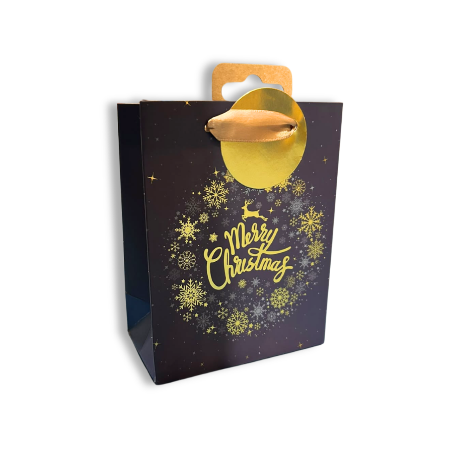 Christmas Text & Icon Gift Bag Small 12pk