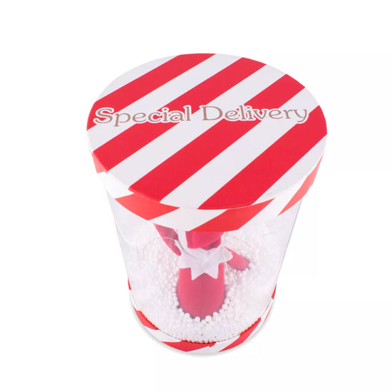 Elf Arrival Box 17.3 x 17.3 x 30cm 6pk