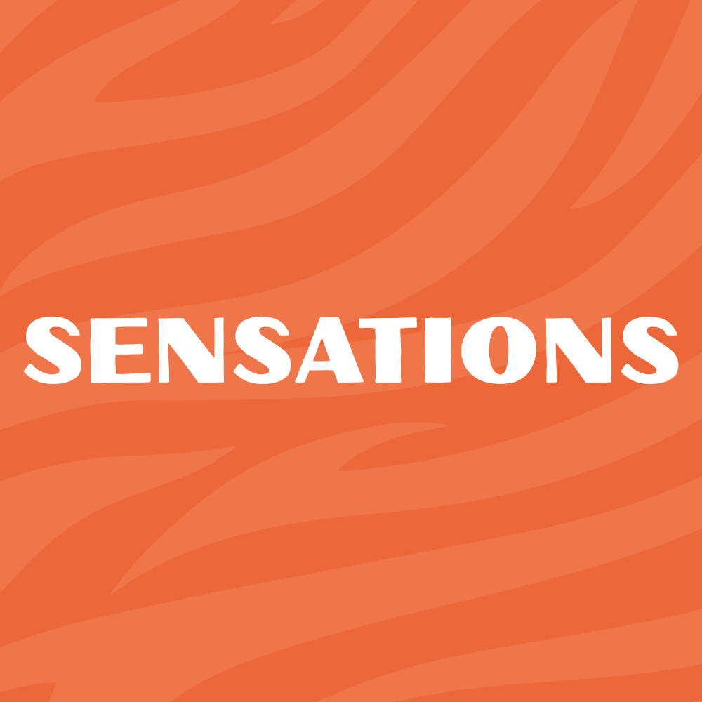 SENSATIONS3