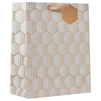 Partisan 6 Pack Gift Bag Linear Large