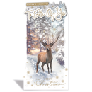 Prelude C55 Christmas Both Of You 6pk