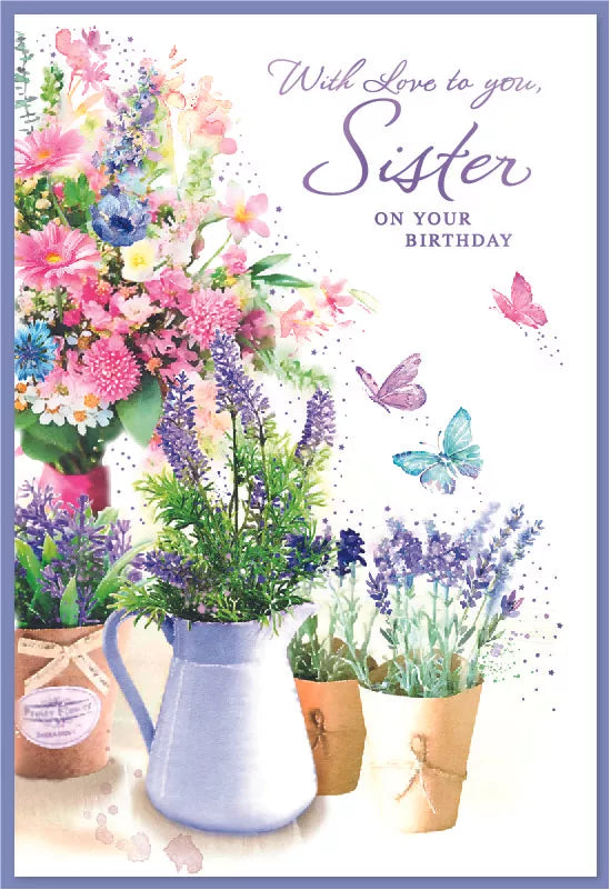 Simon Elvin C50 birthday sister cards, a 6-pack of colorful greeting cards featuring celebratory designs for sisters.
