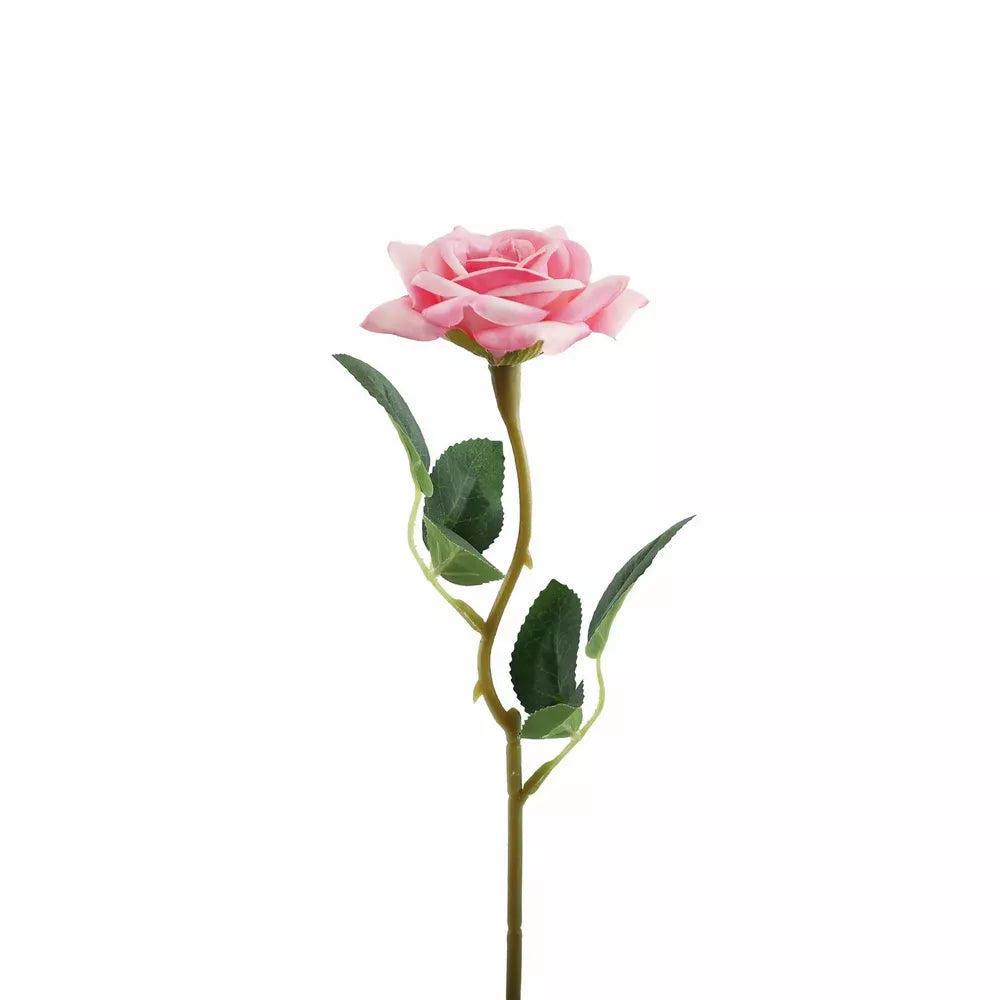 Rose Pink
