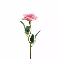 Rose Pink