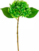 Eleganza Small Head Hydrangea Lime Green
