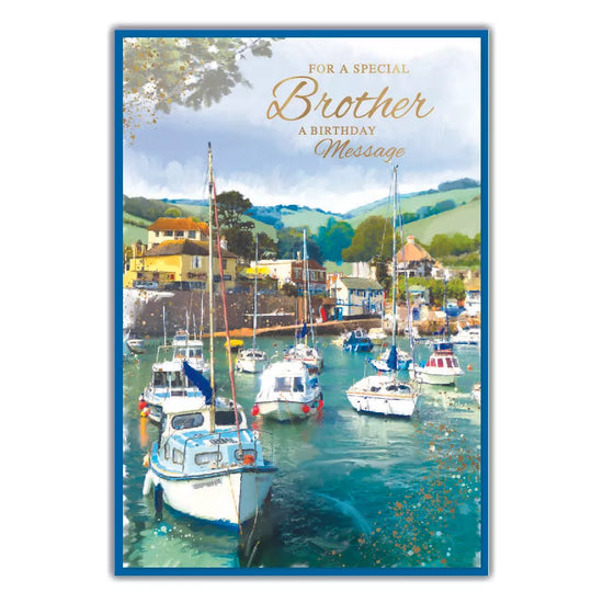Simon Elvin C50 Birthday Brother 6pk
