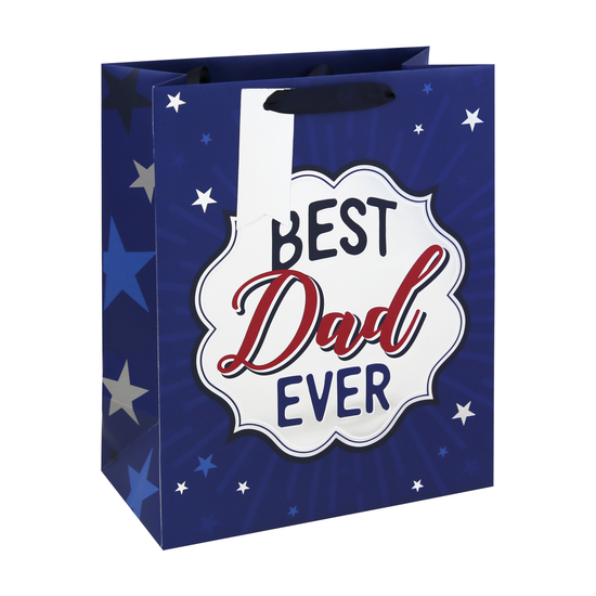 Eurowrap 12 Pack Gift Bag Best Dad Ever Large