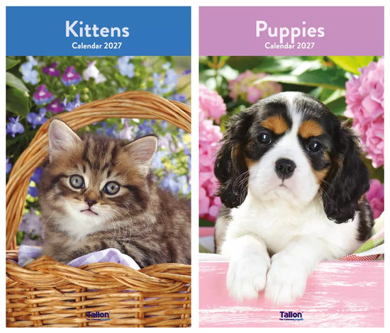 Calendar Midi Kittens & Puppies 2027 12pk