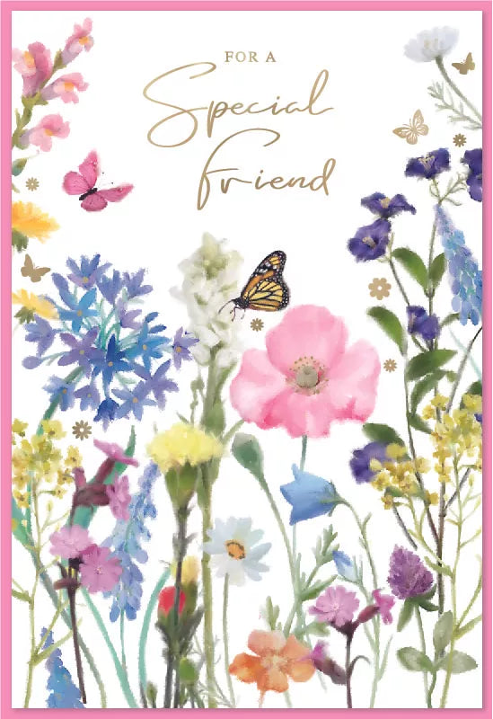 Simon Elvin C50 birthday special friend greeting card 6-pack with colorful designs and heartfelt messages for friends' birthdays.