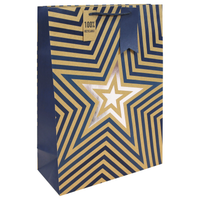 6pk Gift Bag Kraft Blue Stars Ex Large Bag