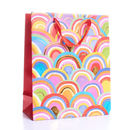 Tiger Feet 6 Pack Gift Bag Rainbow Large
