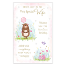 Prelude C375 Birthday Wife 6pk