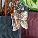 Plant Pot Pals Butterfly