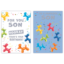 Poppyhill C50 Birthday Son 12pk