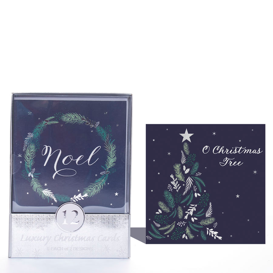 Tiger Feet C50 Christmas Acetates Open 24x12pk