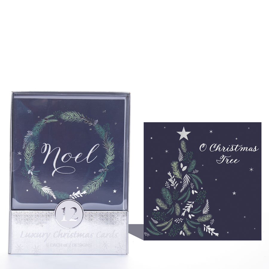 Tiger Feet C50 Christmas Acetates Open 24x12pk