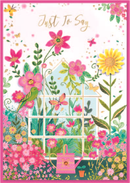 Isabel's Garden 6 Pack Cards C50 Blank