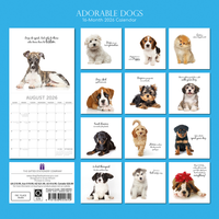 Gifted Stationery Calendar Adorable Dogs 2027