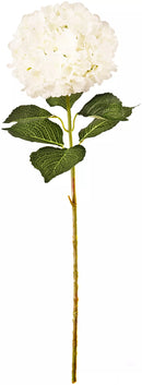 Eleganza Large Head Hydrangea White 92cm
