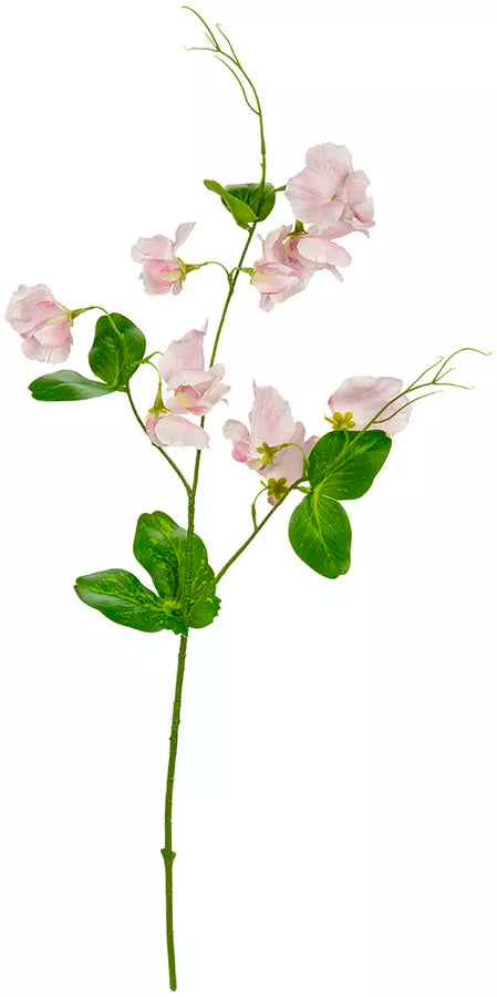 Eleganza Sweet Pea Spray Light Pink