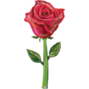 Grabo Foil Balloon Fresh Picks Satin Rose 65