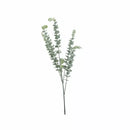 Eucalyptus Bush Grey 78cm