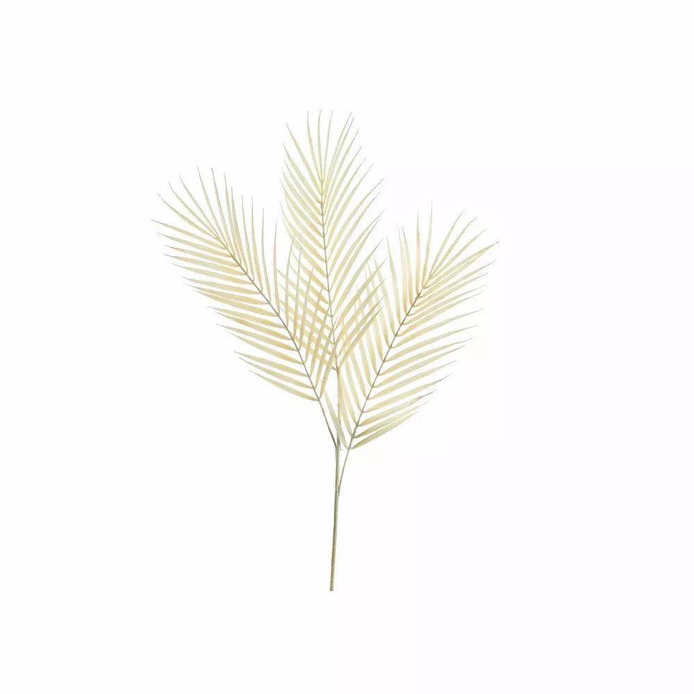 Dry Look Bleached Fern Leaf