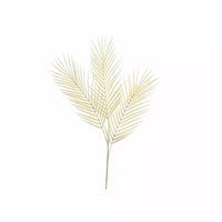 Dry Look Bleached Fern Leaf